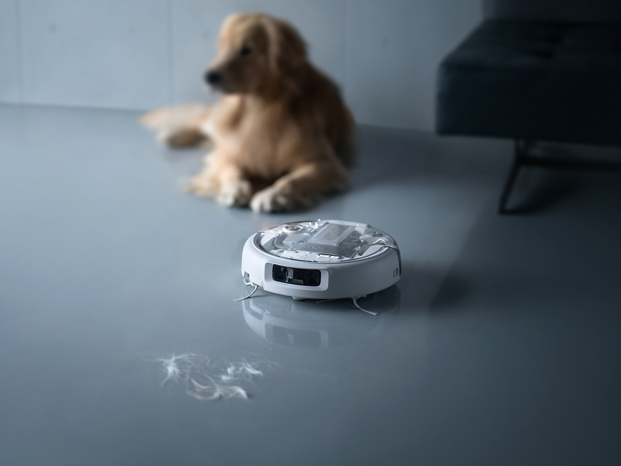 ROMO P_Anti-Tangle Roller Brushes.jpg